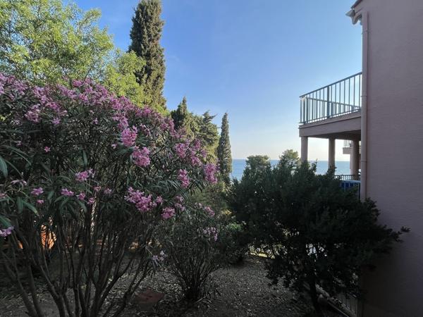 T2 34m² Collioure avec terrasse + parking