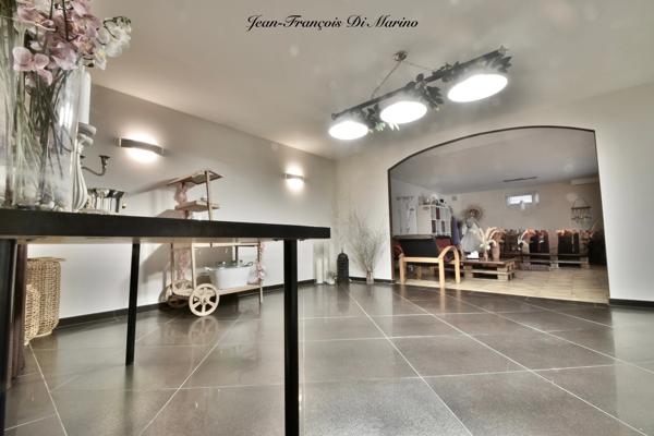 Maison à vendre 11 pièces LULLY (74)