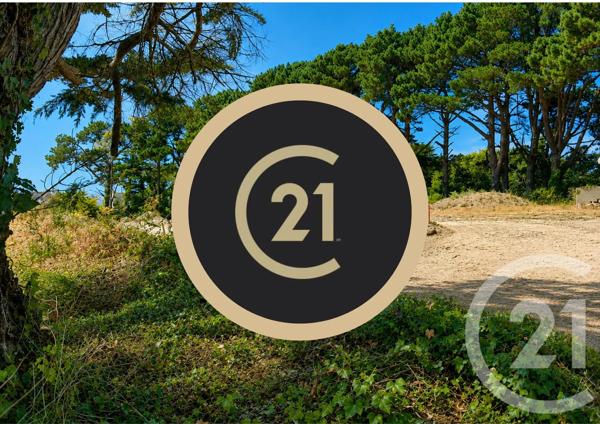 Terrain à vendre  317 m 2   ST PIERRE QUIBERON  - 56