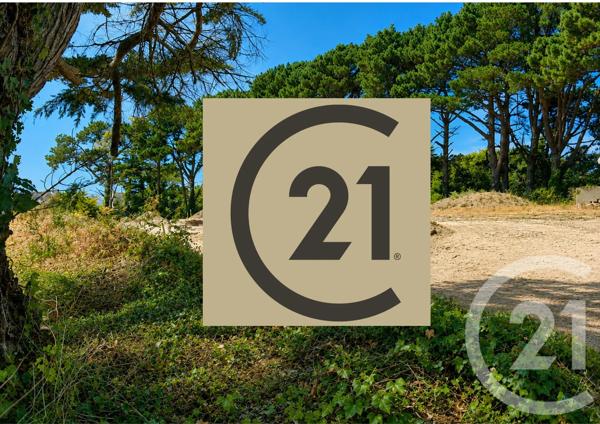 Terrain à vendre  317 m 2   ST PIERRE QUIBERON  - 56