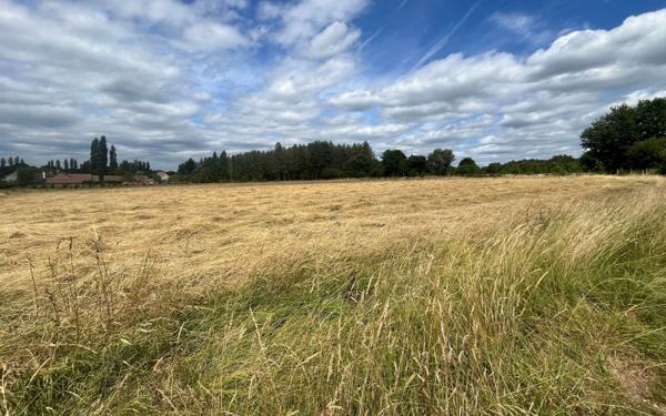 Terrain à vendre    Marcilly-en-Gault