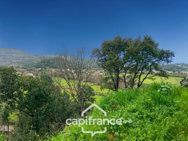 MORIANI (20) Appartement à vendre 2 pièces de 33,50 m2