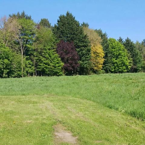 Terrain à bâtir.