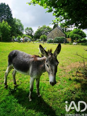 Maison à vendre 6 pièces 140 m² La Chapelle-Neuve