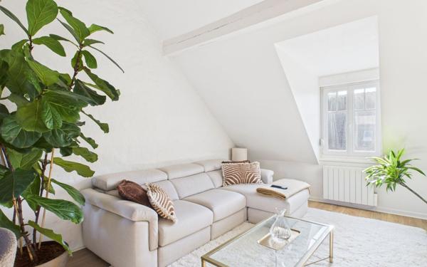 Appartement à louer    3 pièces •  Schiltigheim