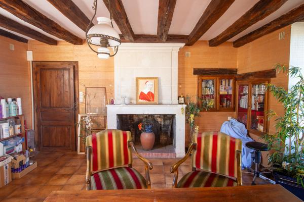 Commerce à vendre à Richelieu (37120) - Indre-et-Loire
