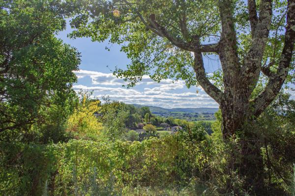 Maison à vendre à Puy-l'Évêque (46700) - Lot