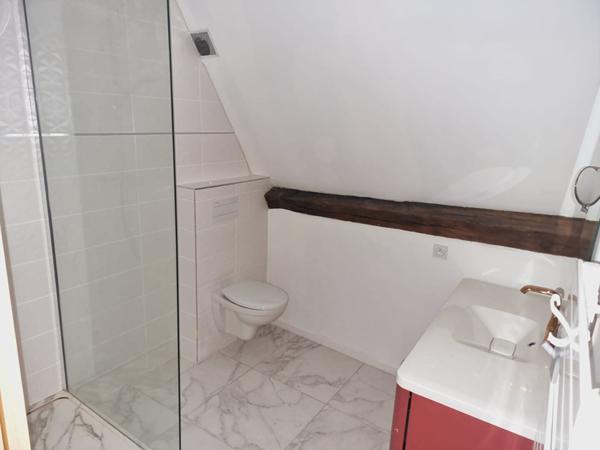 Lot de 2 Appartements DIJON 5 Pièces 163.12 m² dans hôtel particulier