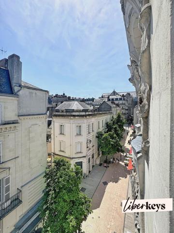ANGERS – DUPLEX DE CHARME – DERNIER ÉTAGE – COLOCATION PREMIUM & VIE DE FAMILLE