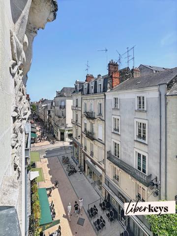 ANGERS – DUPLEX DE CHARME – DERNIER ÉTAGE – COLOCATION PREMIUM & VIE DE FAMILLE