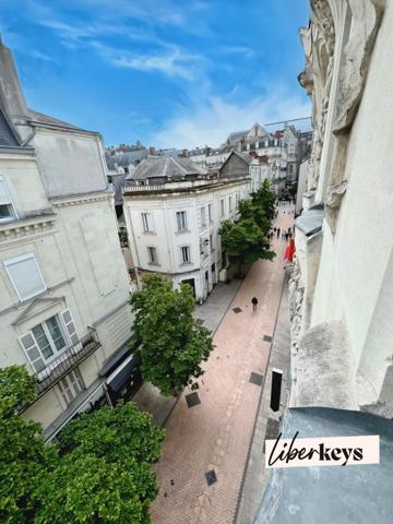 ANGERS – DUPLEX DE CHARME – DERNIER ÉTAGE – COLOCATION PREMIUM & VIE DE FAMILLE