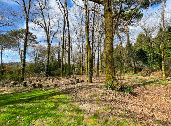 Saint-Nolff (56250) Maison familiale sur grand terrain arboré