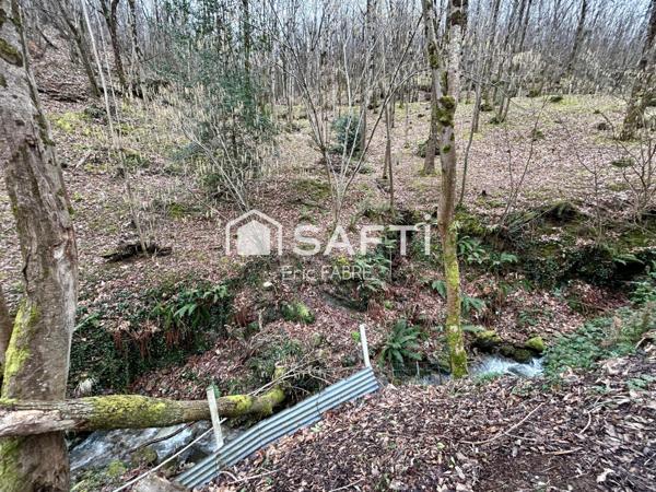 Maison 2 chambres 1 bureau, dépendance jardin, garage