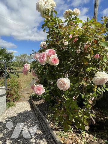 Maison d'habitation offrant environ 110 m² habitables sur un terrain de 1251 m².