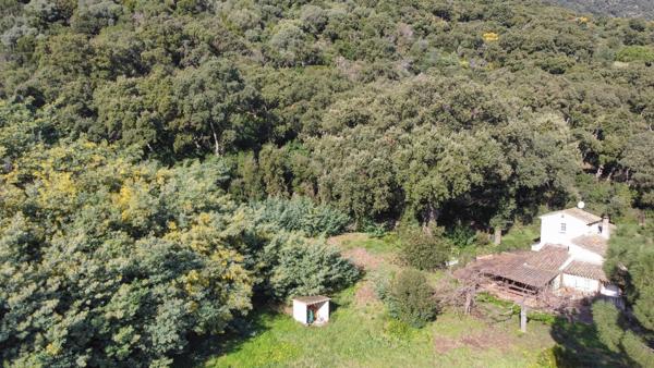 Maison à vendre  4 pièces - 105 m2 CAVALAIRE SUR MER - 83