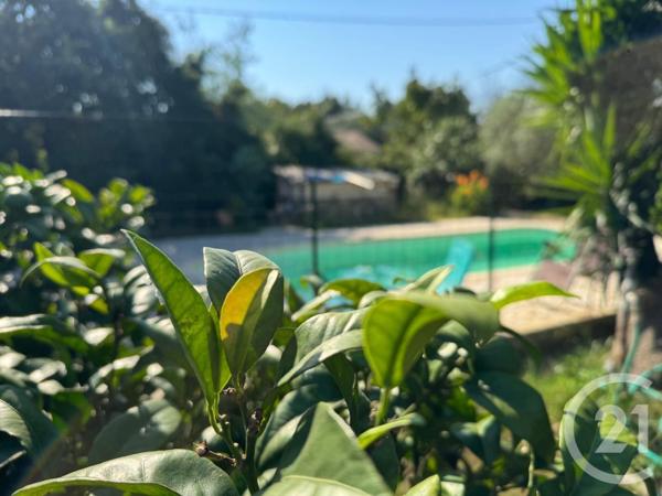 Maison à vendre  5 pièces - 114,11 m2 SANTA LUCIA DI MORIANI - 202