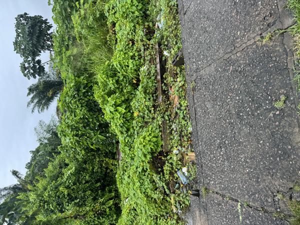Terrain - 105 m²