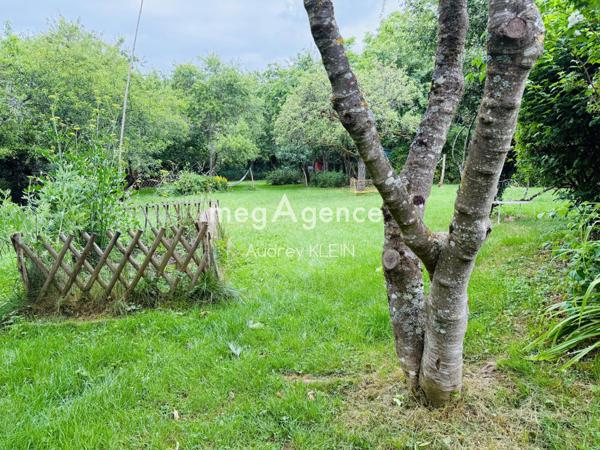 Maison à THORIGNY-SUR-OREUSE, 89260 - 6 pièces 215m²