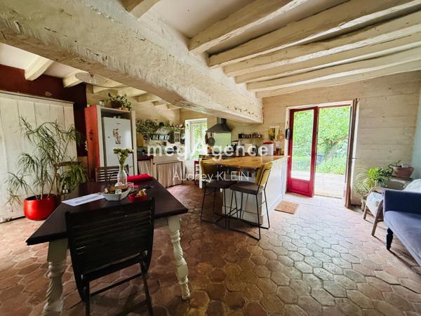 Maison à THORIGNY-SUR-OREUSE, 89260 - 6 pièces 215m²
