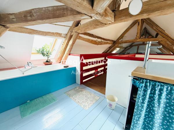 Maison à THORIGNY-SUR-OREUSE, 89260 - 6 pièces 215m²