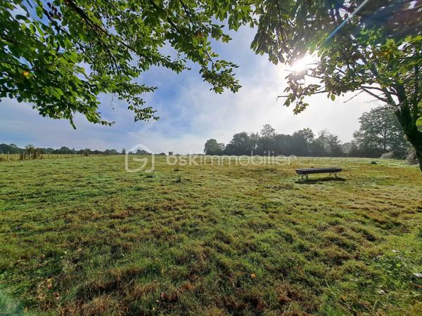 Propriete equestre de 60 m²