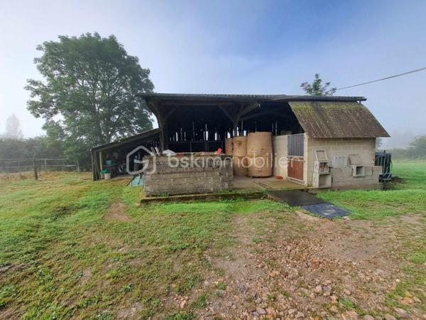 Propriete equestre de 60 m²