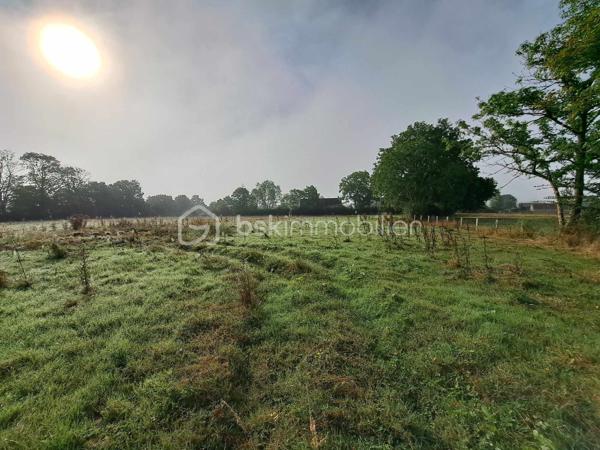 Propriete equestre de 60 m²