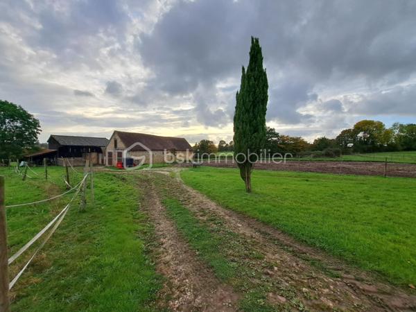 Propriete equestre de 60 m²