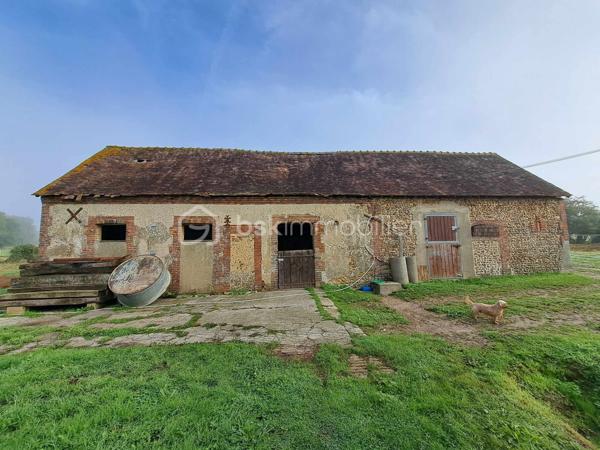 Propriete equestre de 60 m²