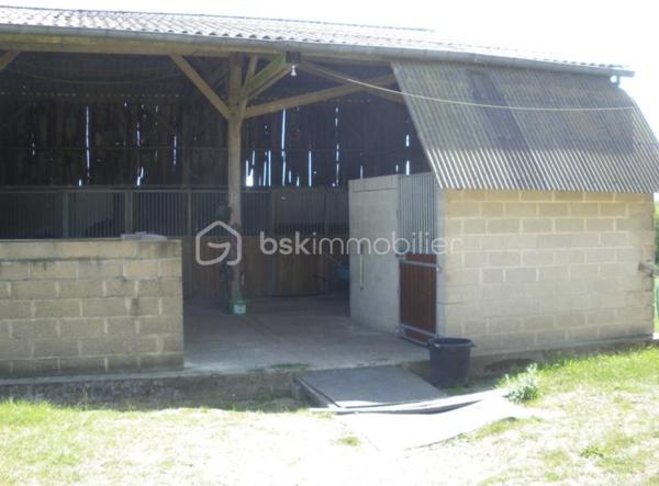 Propriete equestre de 60 m²