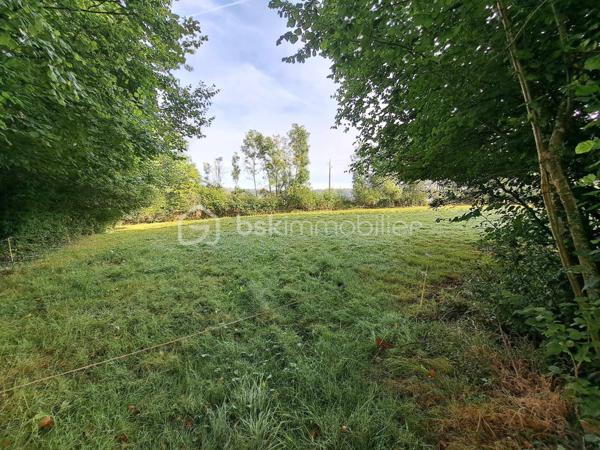 Propriete equestre de 60 m²