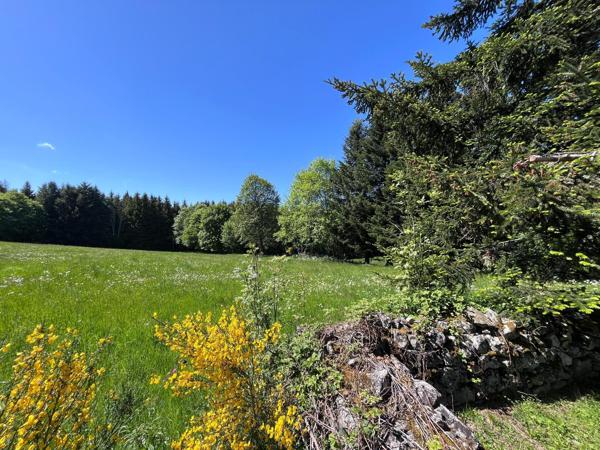 Rare à la vente - Ferme secteur SAINT-JEURES