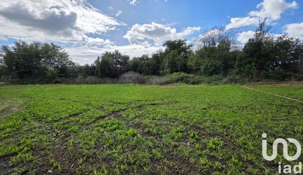 Terrain à vendre 445 m² Saint-Just-Luzac