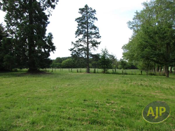 Biens de prestige à vendre Beaupreau En Mauges : 424 400 € - AJP Immobilier Saint-Macaire-en-Mauges