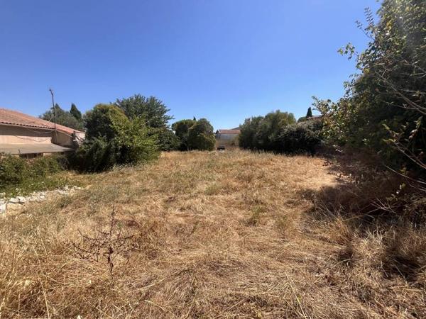 Terrain à vendre 310 000 € Montpellier 584 m² DPE