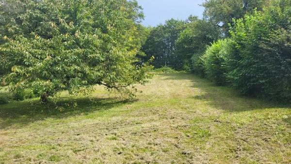 Achat - Maison Voujeaucourt 25420 5 pièces 83 m 2 1382 m 2