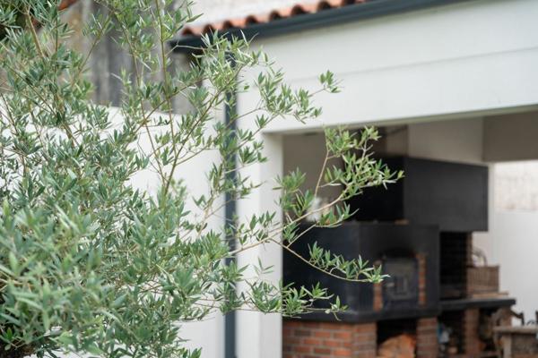 Propriété contemporaine d'exception - Elégance et raffinement