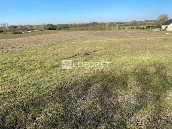Achat terrain près de Doué-en-Anjou - 494 m² - 29 938 €