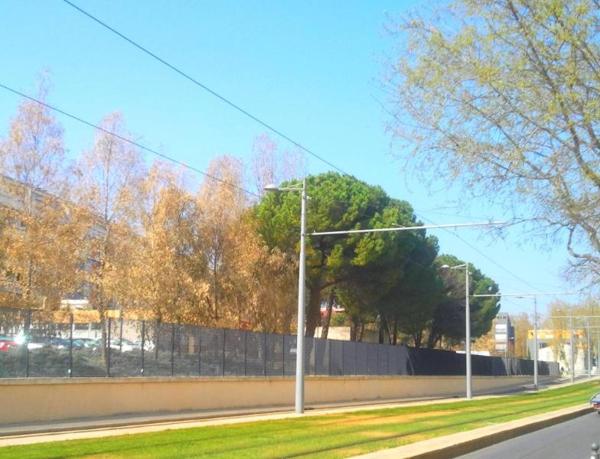 Appartement à louer 1 pièce 20.7m²