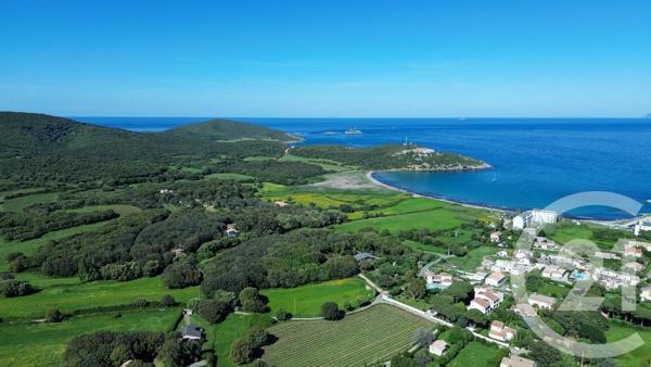 Terrain à vendre  2629 m 2   ROGLIANO  - 202