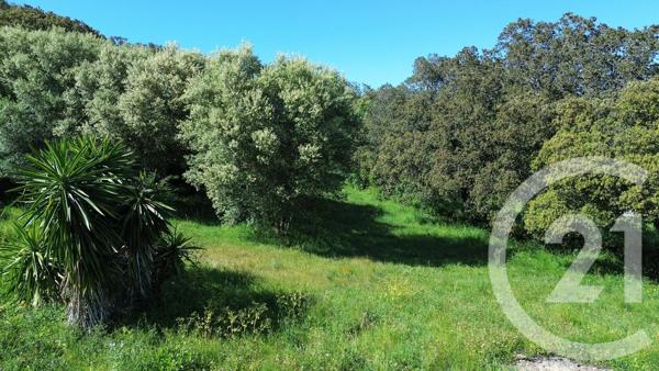 Terrain à vendre  2629 m 2   ROGLIANO  - 202