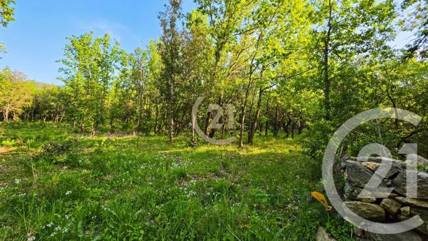 Terrain à vendre  2629 m 2   ROGLIANO  - 202