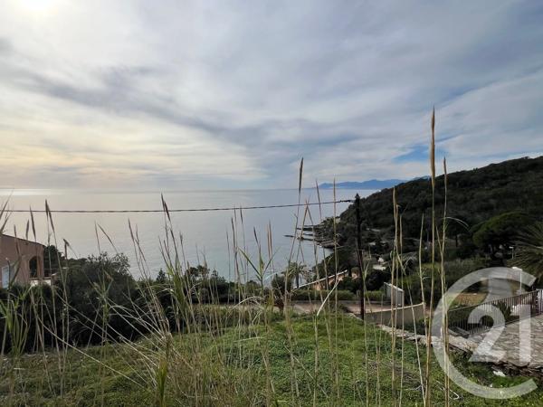 Terrain à vendre  2629 m 2   ROGLIANO  - 202