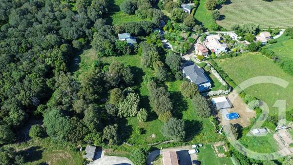 Terrain à vendre  2629 m 2   ROGLIANO  - 202