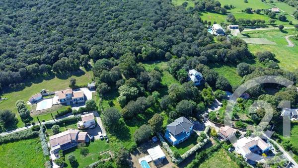 Terrain à vendre  2629 m 2   ROGLIANO  - 202