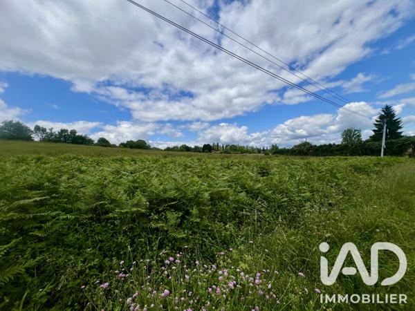 Terrain à vendre 2 500 m² Gaussan