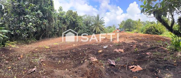 Terrain plat, viabilisable – 1 346 m² – Gros-Morne – À saisir !