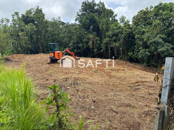 Terrain plat, viabilisable – 1 346 m² – Gros-Morne – À saisir !