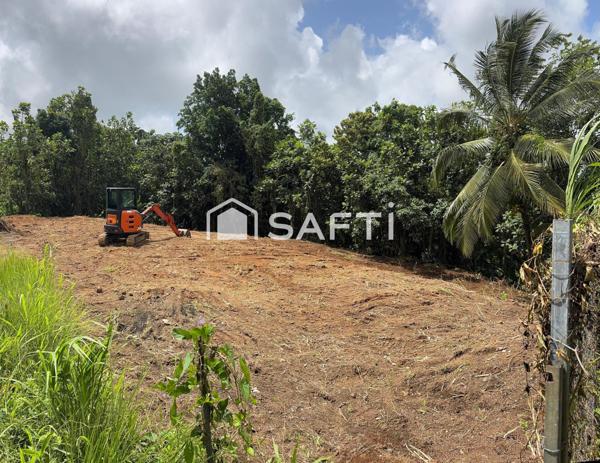 Terrain plat, viabilisable – 1 346 m² – Gros-Morne – À saisir !