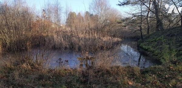 A VENDRE :  - Au c?ur de la Sologne (région de chasse et de pêche) - à  30mn du ZOO DE BEAUVAL ...